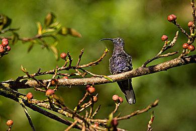 开放世界物理破坏赛车游戏《破坏创造王》全新预告